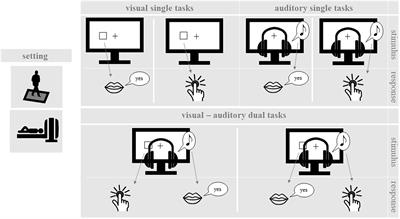 Contribution of the Lateral Prefrontal Cortex to Cognitive-Postural Multitasking